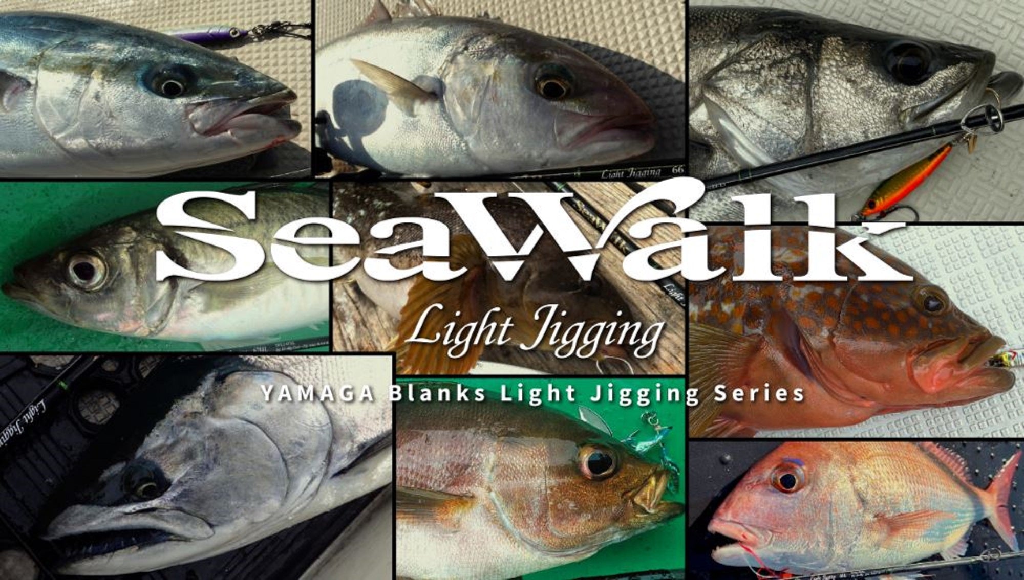 Yamaga Rod Baitcast Sea Walk Light Jigging B66L (0753)